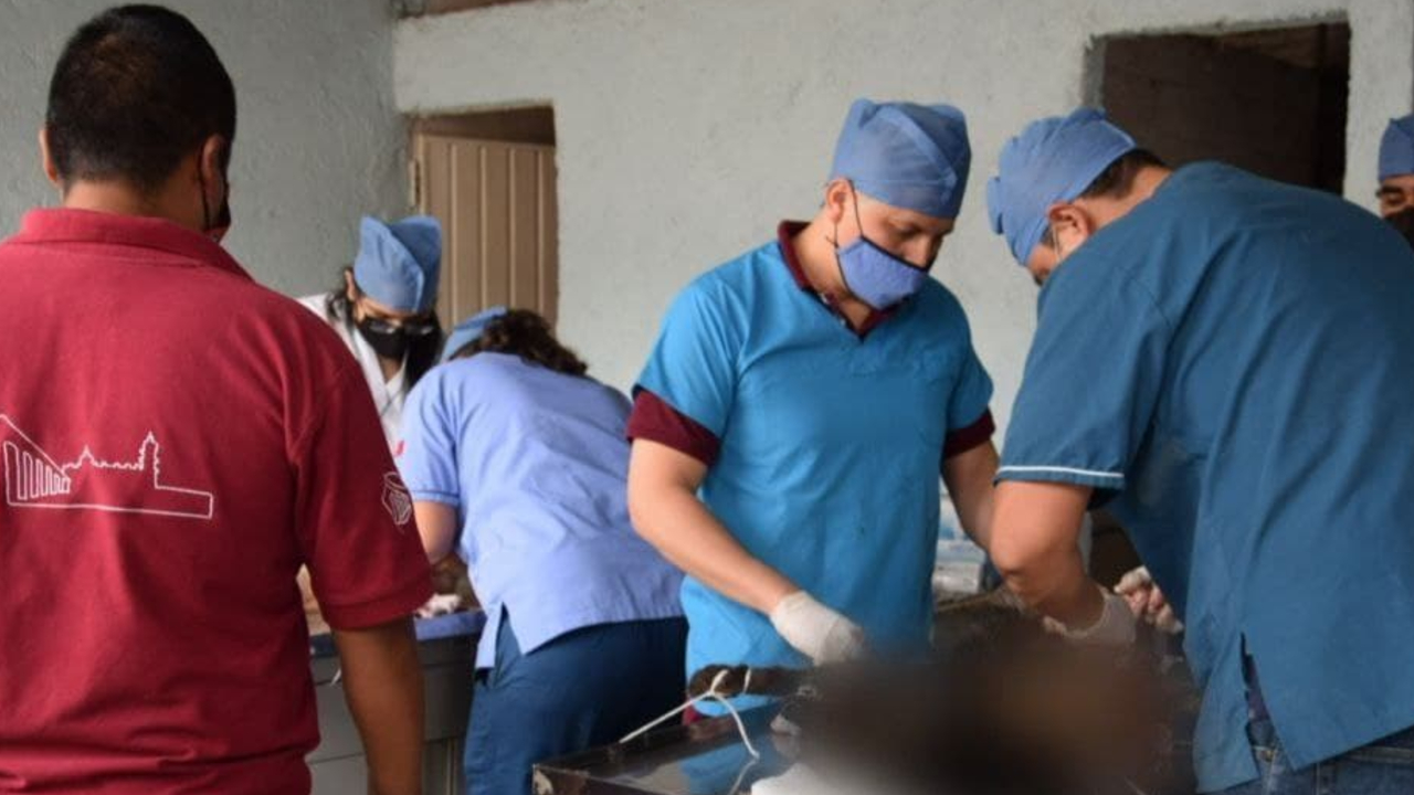 San Pedro Cholula continúa con su Jornada de Esterilización Gratuita para Animales Domésticos