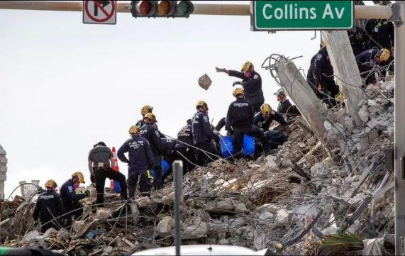Final feliz: Gato regresa con su familia tras ser hallado en edificio de Miami