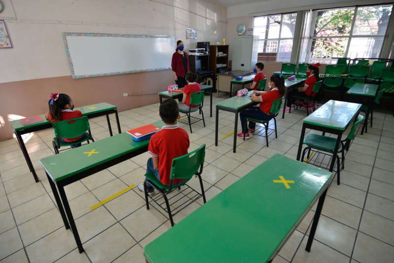 El gobierno presentará la próxima semana un plan para el regreso a clases