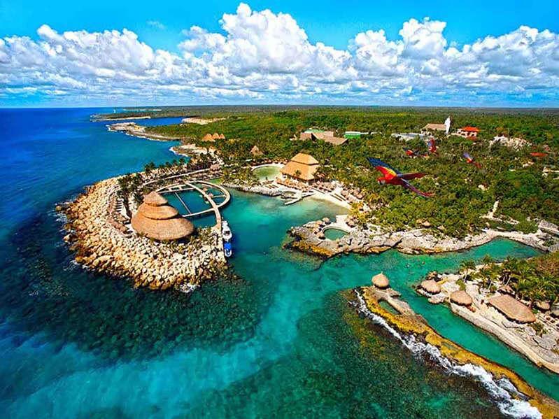 Grupo Xcaret va por amparo para evitar culpa por muerte de Leo