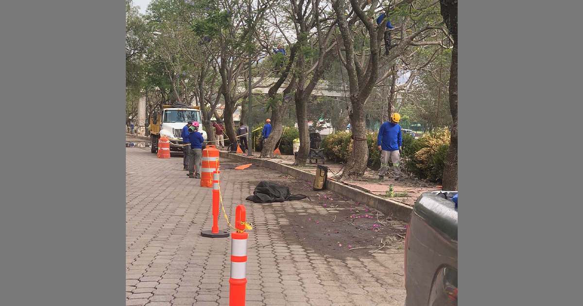 Se terminó el saneamiento de Jacarandas en la capital tlaxcalteca 