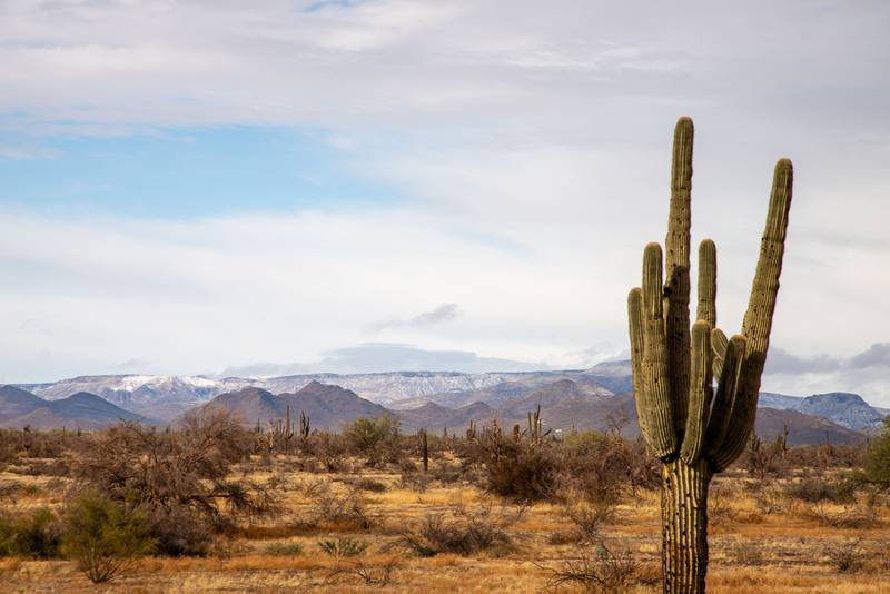 El lugar con mayores temperaturas del mundo está en México