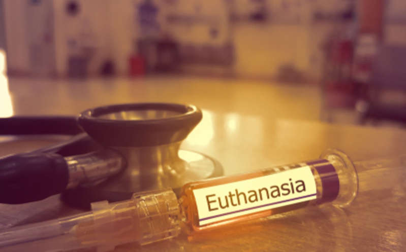 ¡Por una muerte digna! En España ya se puede acceder al derecho a la eutanasia