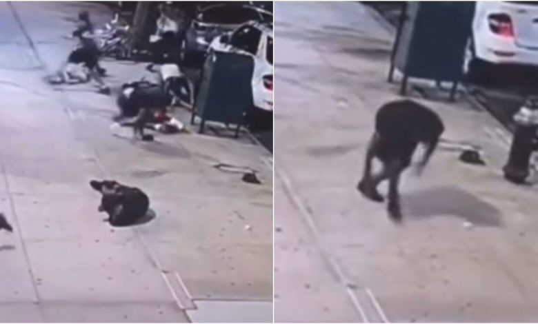 Joven salva su vida al fingir su muerte para evitar ser baleado en medio de un tiroteo (Video)