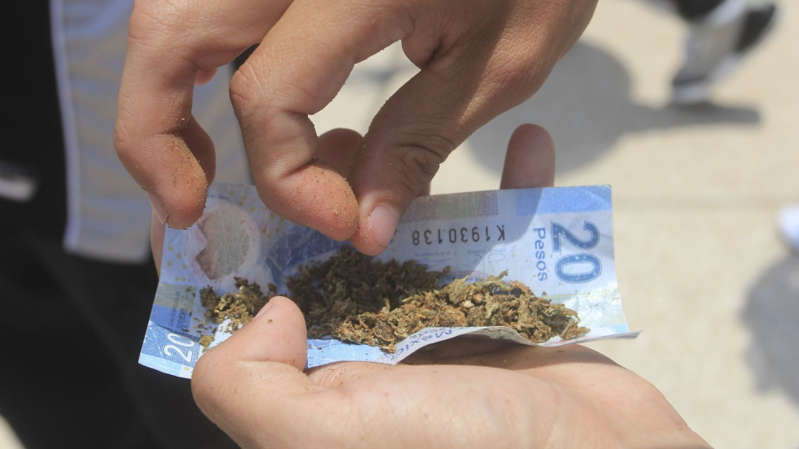 Suprema Corte elimina la prohibición del uso lúdico de la cannabis