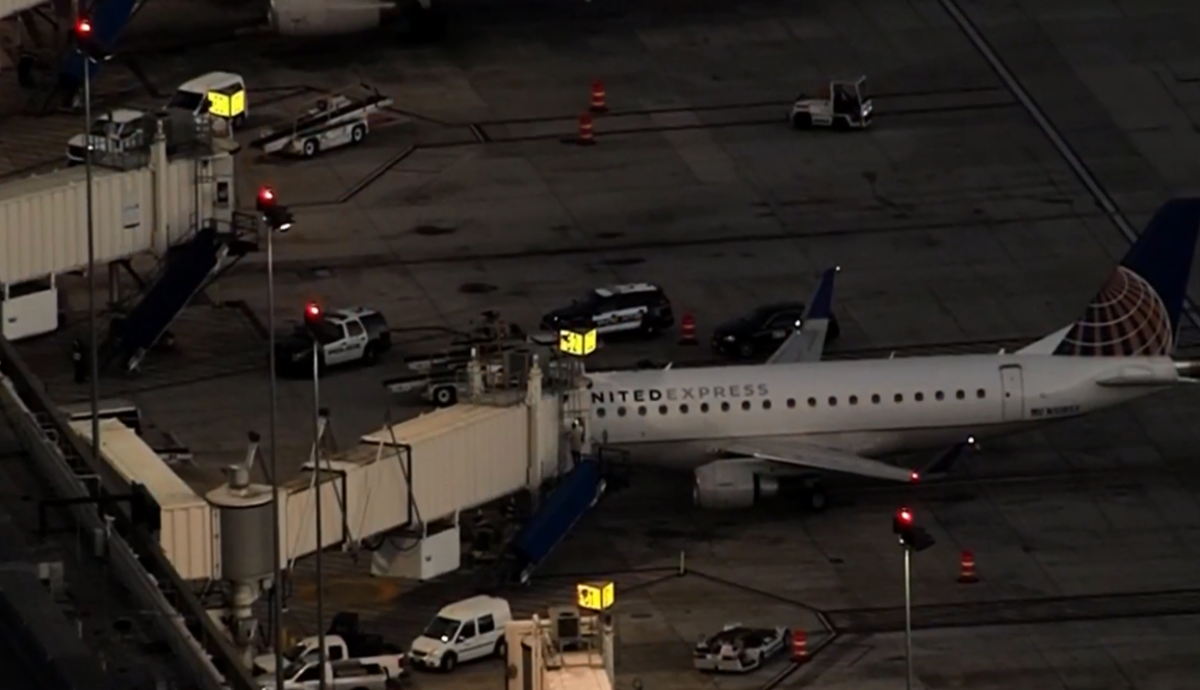 Mexicano que saltó de avión en Los Ángeles podría enfrentar hasta 20 años de prisión