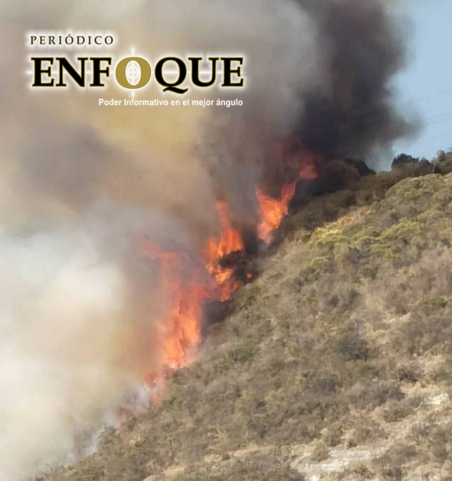 En lo que va del año, registran 59 incendios forestales, según Conafor