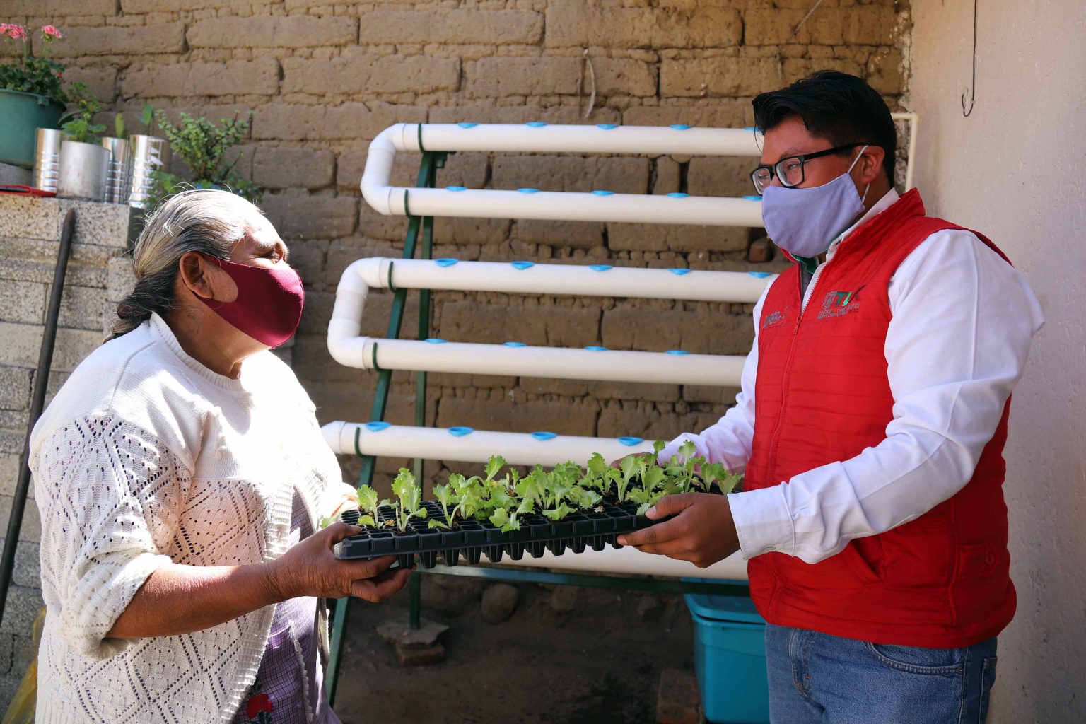 Inicia “Supérate” entrega de paquetes de hidroponía a familias beneficiarias
