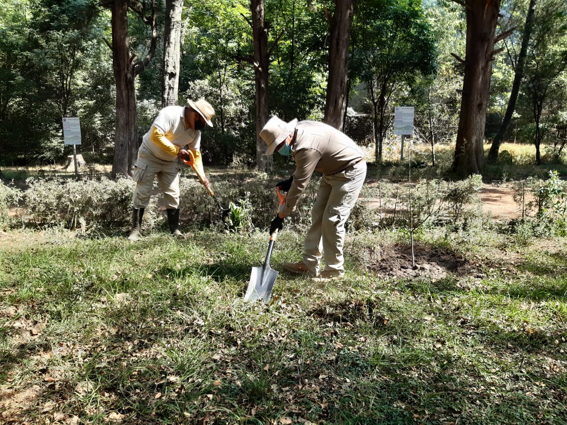Contribuye CGE a conservar ecosistemas en el área natural protegida “La Cueva”