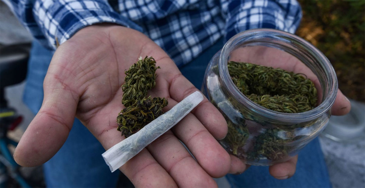 Uso lúdico de marihuana en México: Diputados lo aprueban en lo general