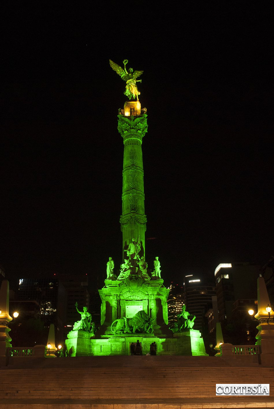 angel de la independencia san patricio 1