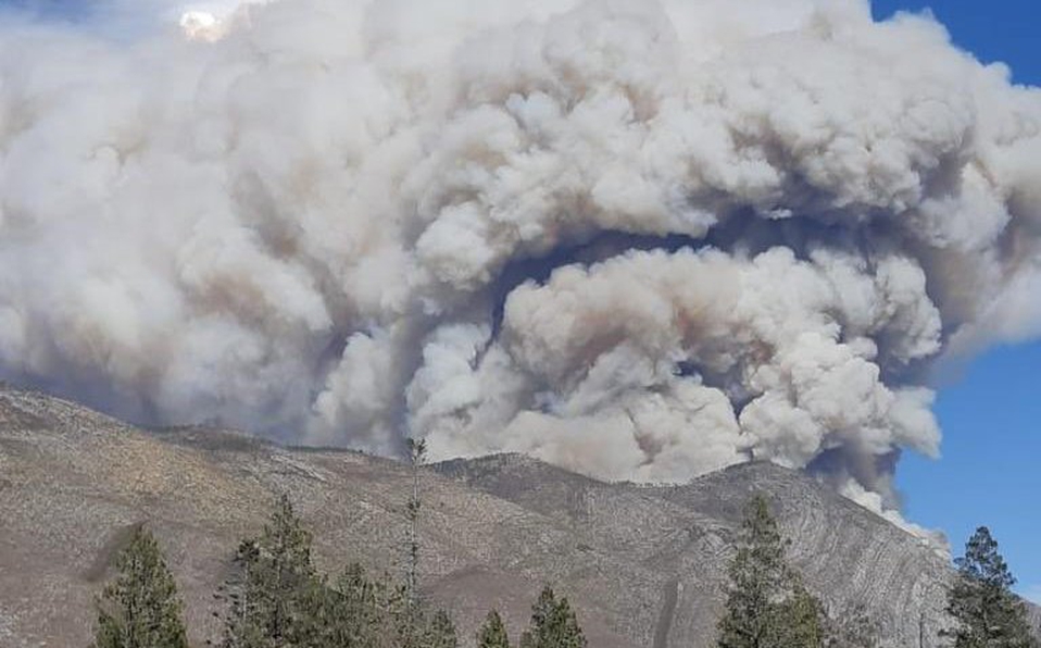 Incendio consume en Arteaga 3,500 hectáreas en Coahuila