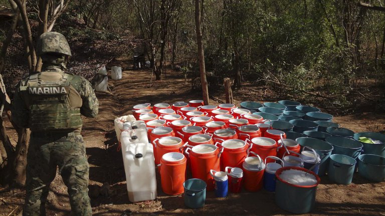 La pandemia no afectó la oferta ni la producción de fentanilo y cocaína, sino todo lo contrario: DEA