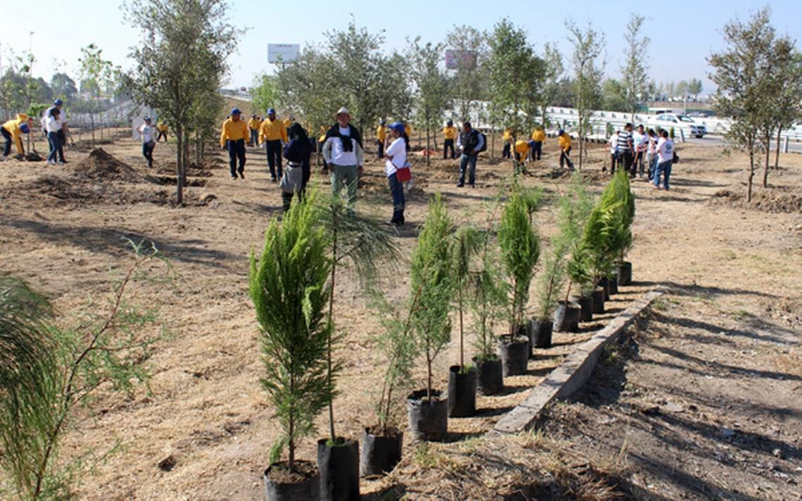 Plantarán en Puebla mil 931 ejemplares arbóreos para mitigar cambio climáticoPlantarán en Puebla mil 931 ejemplares arbóreos para mitigar cambio climático