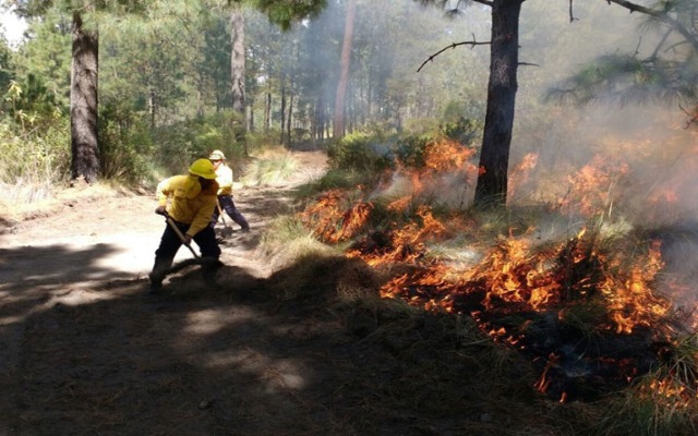 Registra Puebla 278 incendios forestales en lo que va del 2021