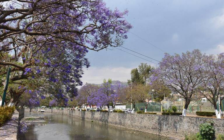 Proyecto para construir parque en el río Zahuapan y salvarlo de la contaminación.