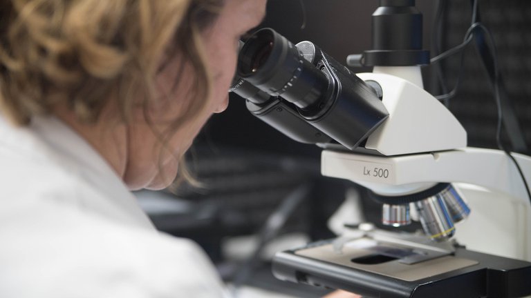 Estudio concluyó que los anticuerpos contra COVID-19 permanecen en el cuerpo durante ocho meses