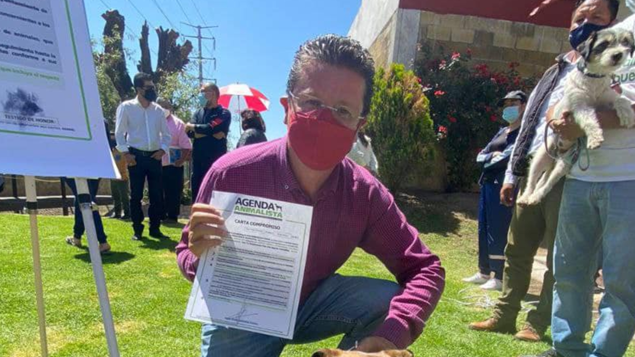Julio Lorenzini candidato por la Alcaldía de San Pedro, buscaría promover acciones a favor de los animales domésticos