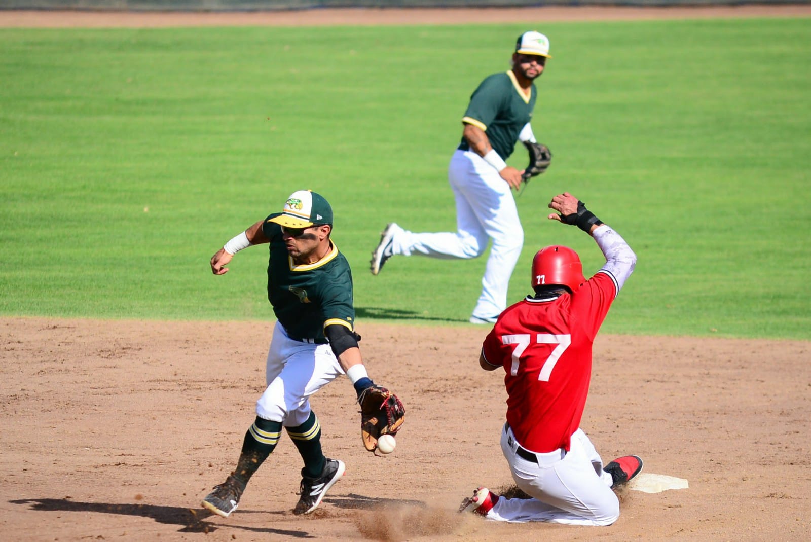 Pericos arranca gira en Veracruz 