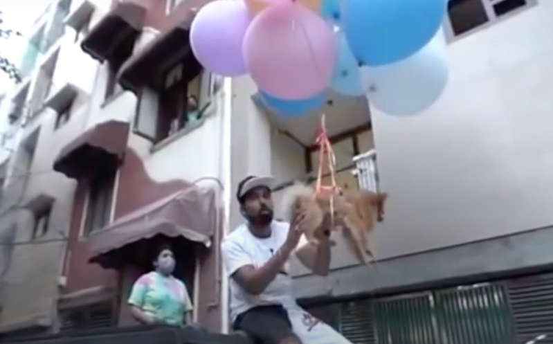 Detienen a youtuber por ‘volar’ a su perro con globo