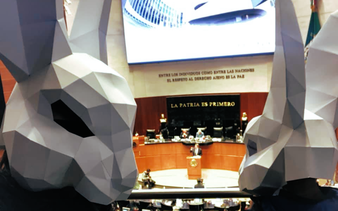 Senado prohibe la realización de experimentos en animales para la producción de cosméticos