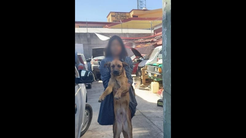 "Sano y salvo"; Familia adopta al perrito que fue arrojado a una barranca en San Jerónimo Caleras