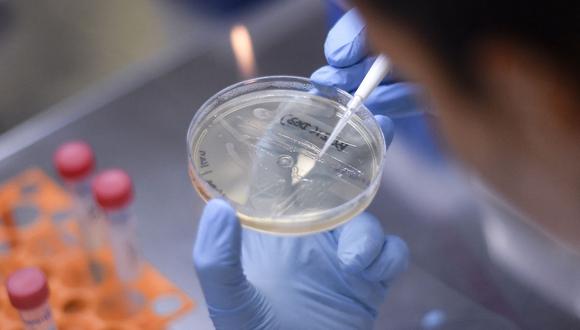 Moderna desarrollará refuerzo específico para la nueva variante de Covid 'ómicron'