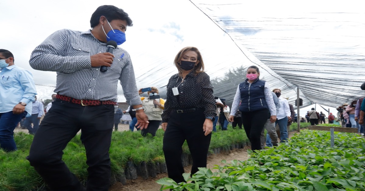 Entregó Lorena Cuéllar desgranadoras a campesinos y verificó avances del programa sembrando vida