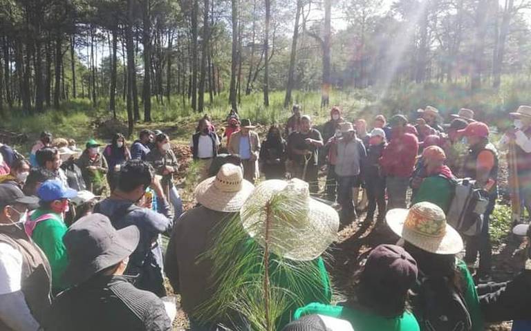 Comités comunitarios buscan ser partícipes en el rescate de la Malinche