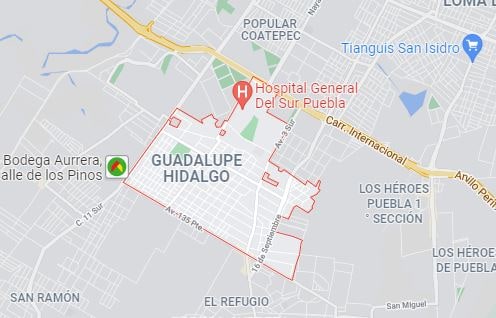 guadalupe hidalgo