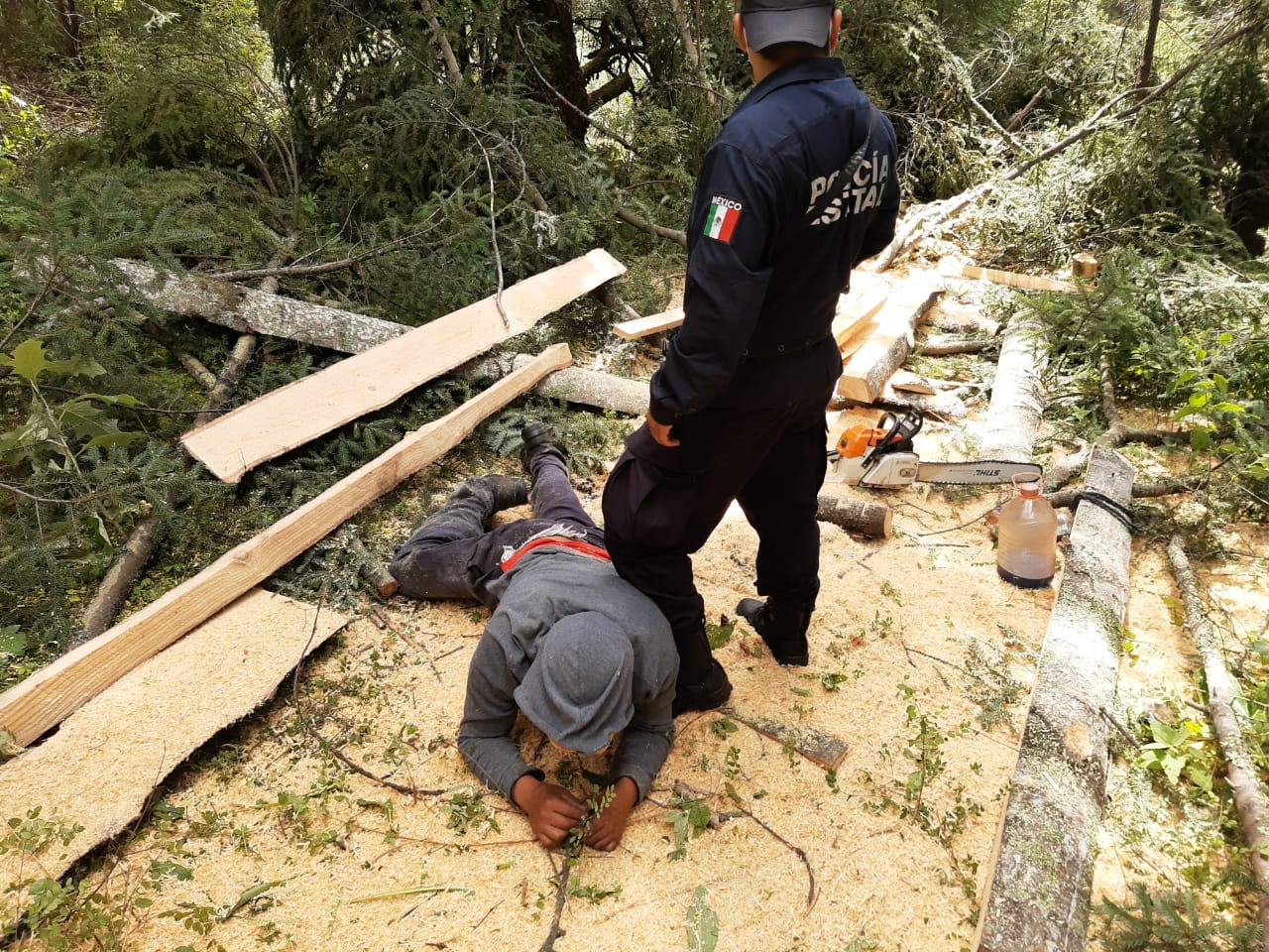 Policía de montaña detuvo a dos personas por daños al medio ambiente y asegura material forestal en la Malinche