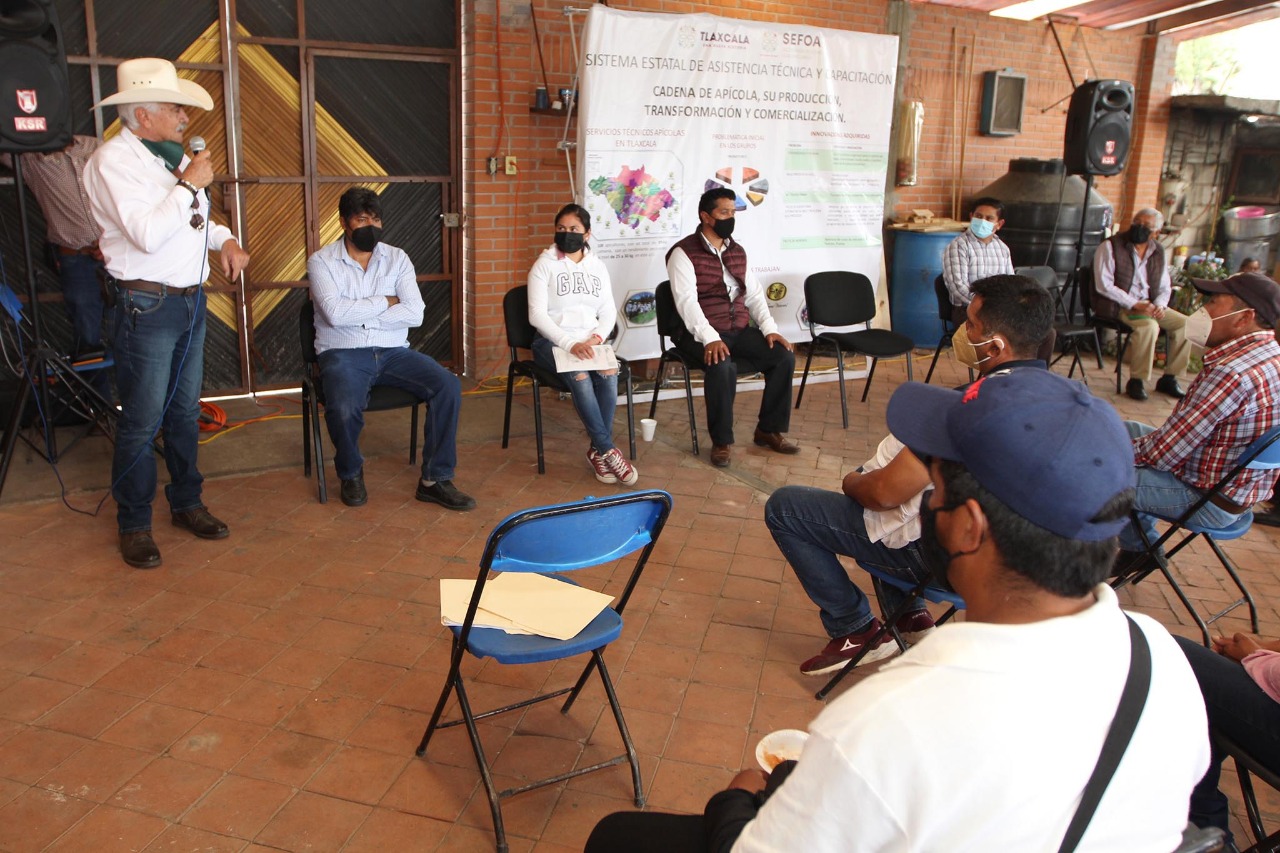 Atiende SEFOA a más de 100 apicultores con acompañamiento técnico