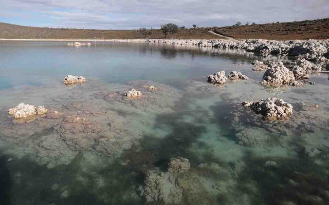 Piden a la FGE involucrarse en investigación por delitos ambientales en Laguna de Alchichica