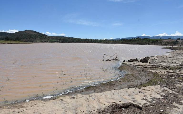 Productores y ganaderos serán beneficiados por la Sefoa el próximo año
