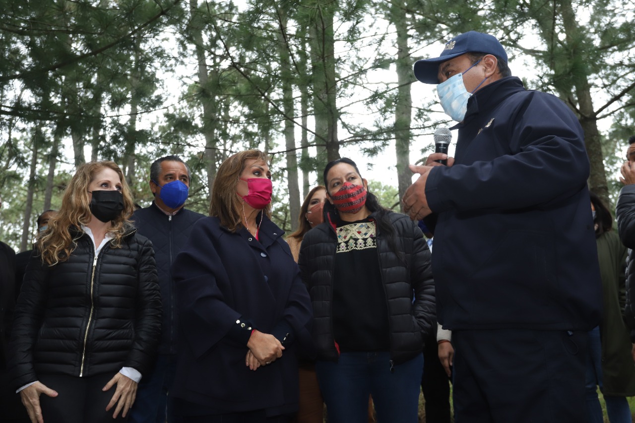 Preparan en Tlaxcala Atlas de riesgo por gusano descortezador
