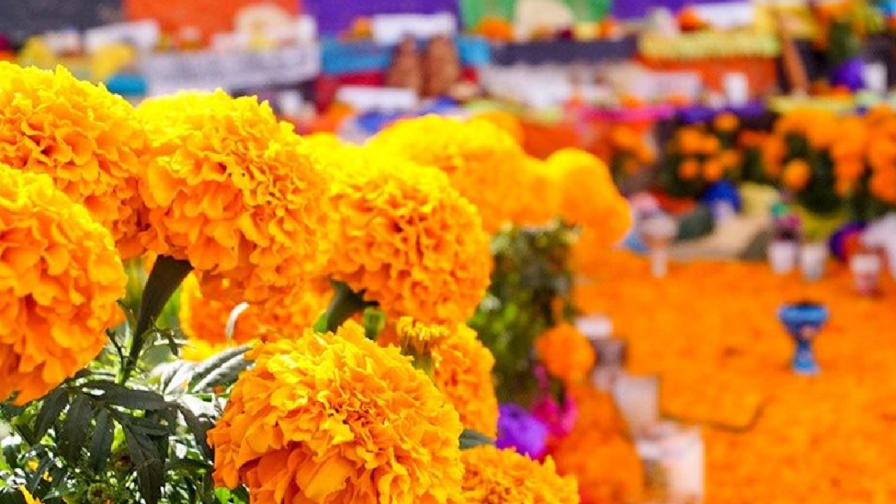 En Cuautlancingo también instalarán un Operativo de Seguridad para este Día de Muertos 