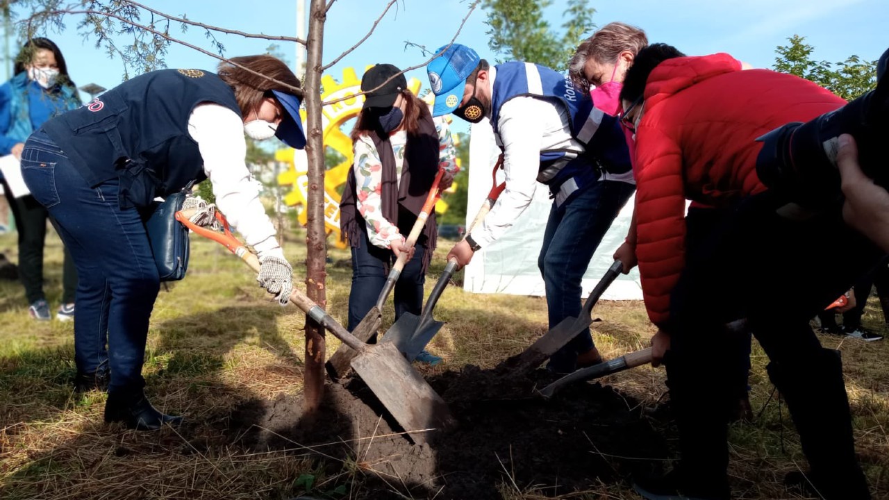 Secretaría del Medio Ambiente y Club Rotario realizaron Jornada de Reforestación en San Andrés Cholula 