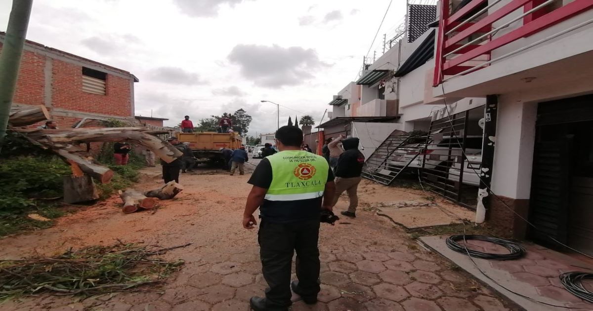 Atiende Servicios Públicos de la capital tlaxcalteca caída de árbol sobre una casa de la comunidad San Gabriel Cuauhtla