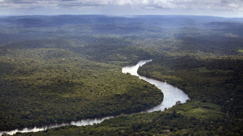 Reconocemos a la "Amazonia europea" como reserva de la bioesfera: UNESCO