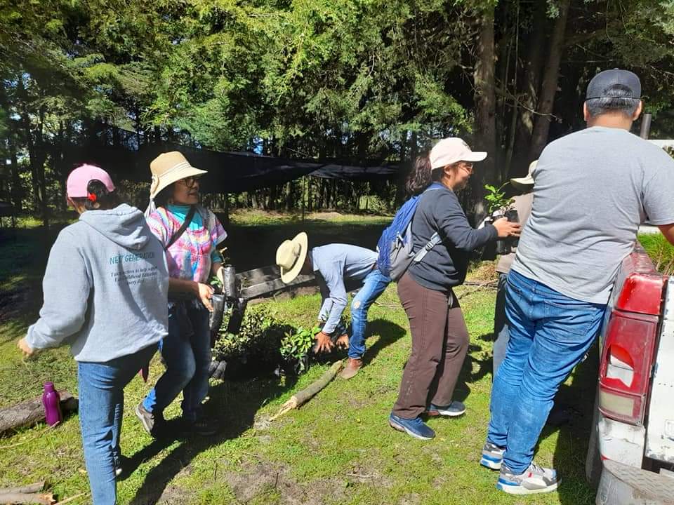 Dan continuidad a reforestación en la Malinche