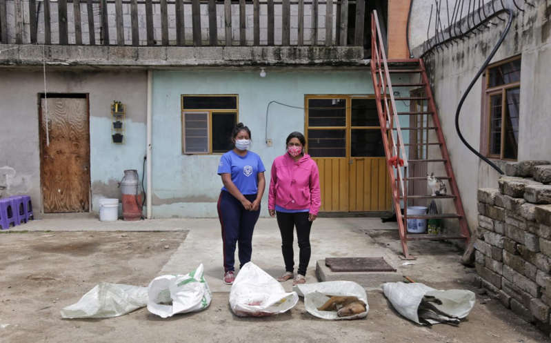 Crueldad animal: matan a otros 5 lomitos en Puebla