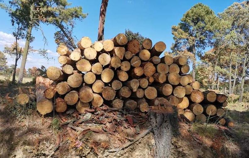Habrá manifestación por el medio ambiente en Tlaxcala