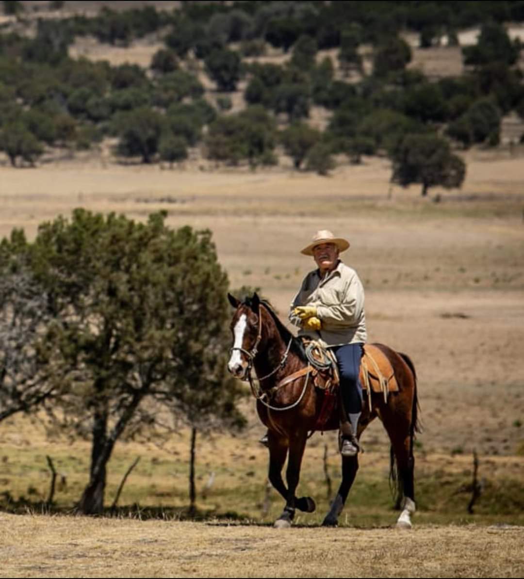 Muere Sabino Yano Bretón, ganadero e historiador tlaxcalteca 