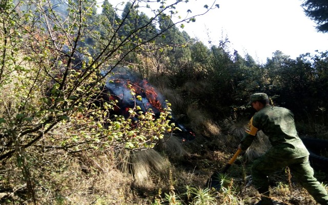 En Puebla se combaten actualmente seis incendios forestales: Gobernación