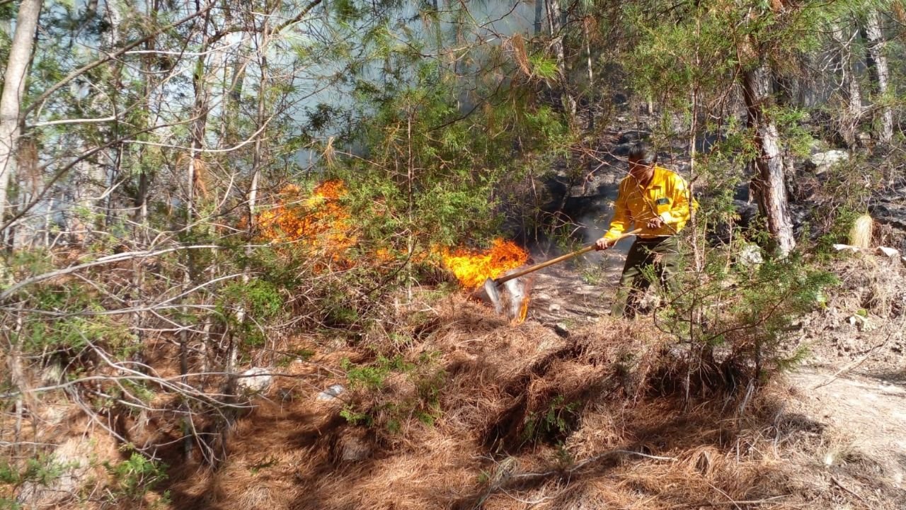 Incendio forestal en Magdalena Peñasco, Oaxaca, donde murieron 4 personas ya fue controlado al 100%