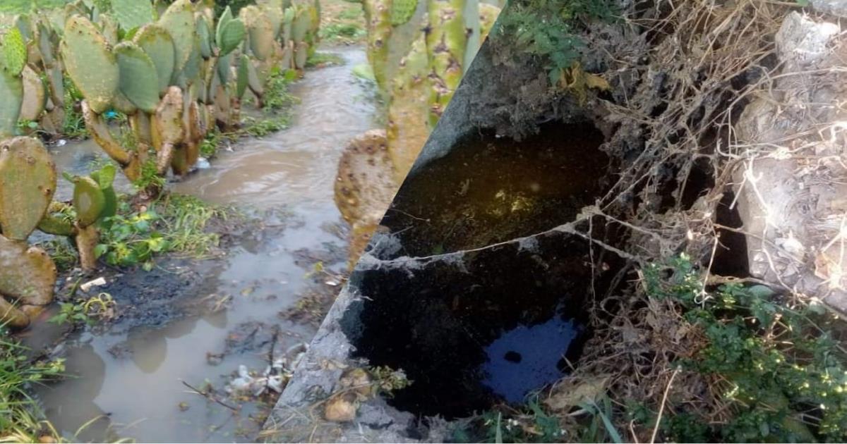 Vecinos de Santiago Tlacochcalco reportaron un foco de infección por aguas negras