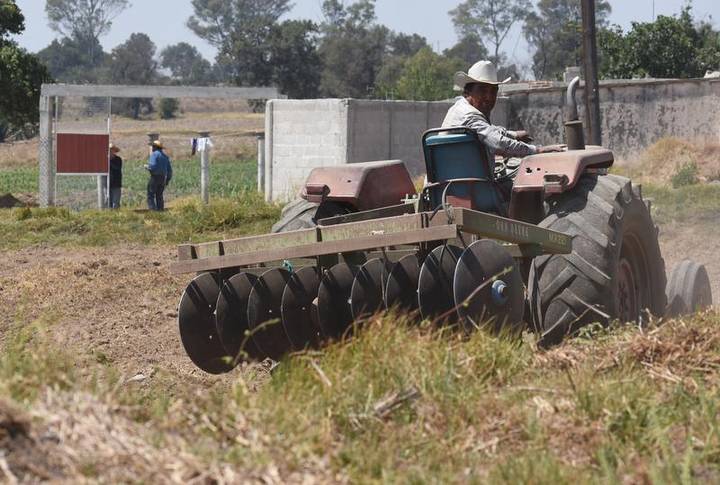Trabajo de Campo genera pocos dividendos en el estado de Tlaxcala
