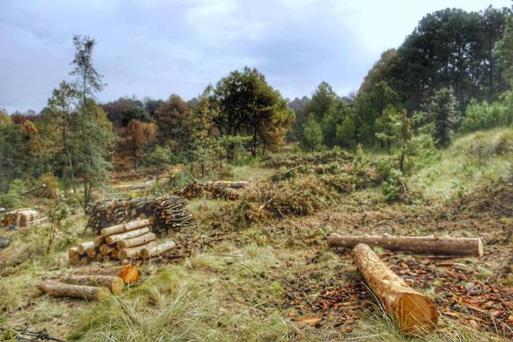 INIFAP presentará un proyecto para atender problemas en la Malinche