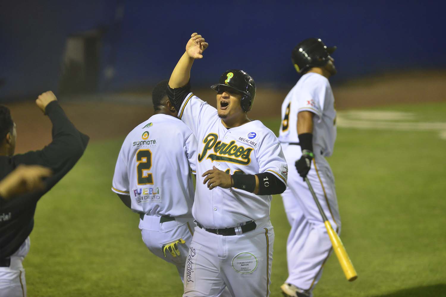 Con el sueño del campeonato, Pericos inicia su vuelo en Veracruz 
