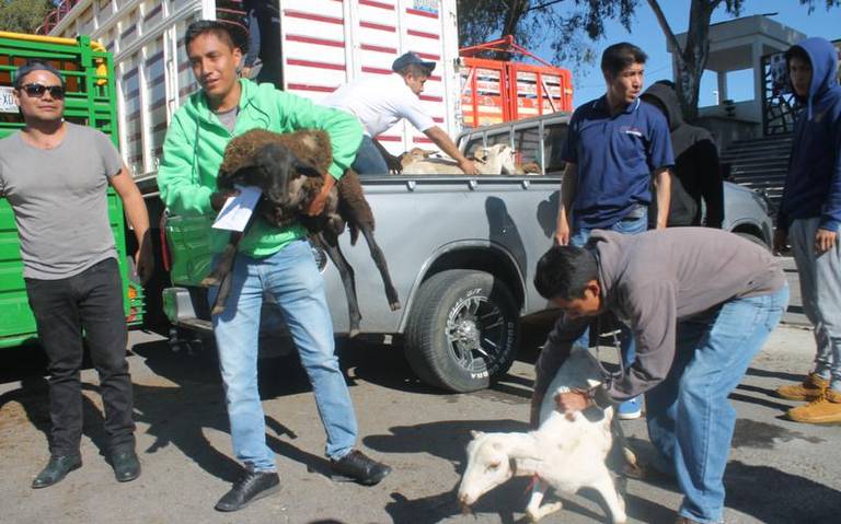Secretaria de Impulso Agropecuario busca evitar el robo de ganado en Tlaxcala